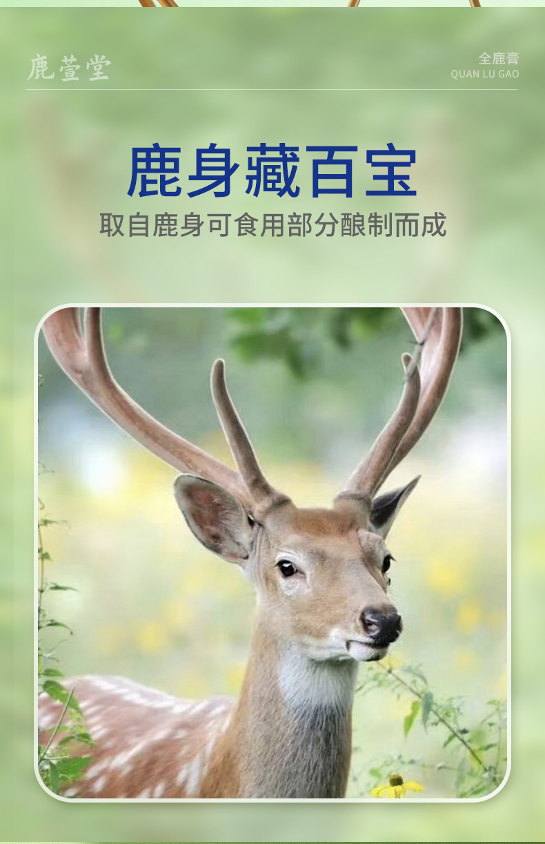 全鹿膏_04.jpg